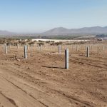 Arriendo de Equipos para Parques Solares